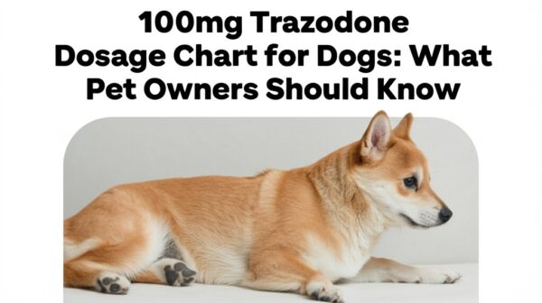 100mg Trazodone Dosage Chart for Dogs: What Pet Owners Should Know