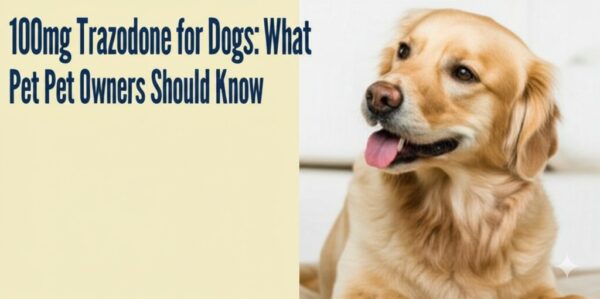 100mg Trazodone for Dogs: What Pet Owners Should Know