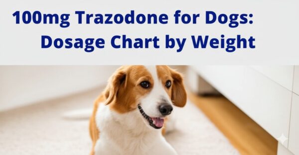 100mg Trazodone for Dogs: Dosage Chart by Weight