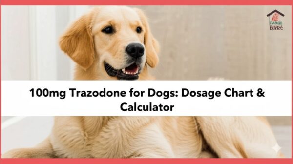 100mg Trazodone for Dogs: Dosage Chart & Calculator