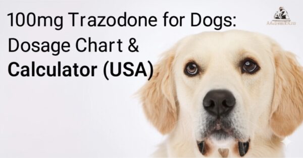 100mg Trazodone for Dogs: Dosage Chart & Calculator (USA)