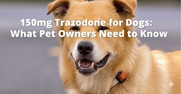 150mg Trazodone for Dogs: What Pet Owners Need to Know