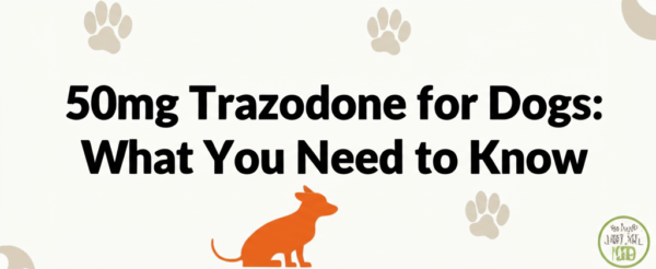 50mg Trazodone for Dogs: What You Need to Know