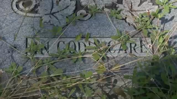 North Houston’s Oak Park Cemetery still struggling with storm damage clean up after Hurricane Beryl