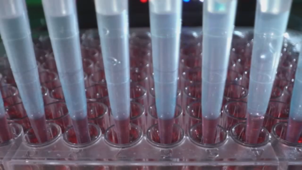 Montgomery County Sheriff’s Office joins rapid DNA technology pilot program for faster crime solving