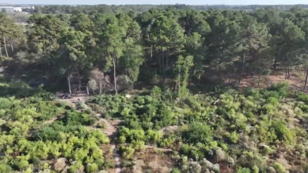 Officers temporarily reassigned, internal investigation underway after man found dead in wooded area of north Harris County: HCSO