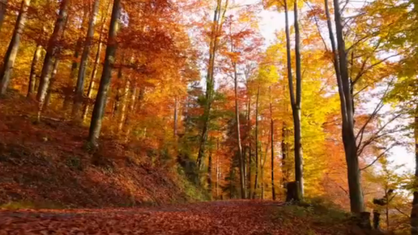 Season-changing cold front is on the way to southeast Texas