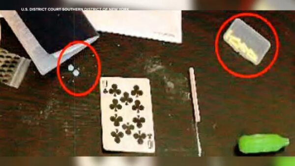 5 new arrests in overdose deaths of De Niro’s grandson and Chris Stein’s daughter