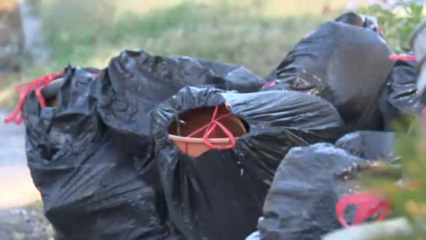 Houston city councilman developing pilot program for heavy trash pickup on demand