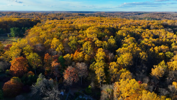 Celebrate Tyler Arboretum’s trail reopening with a new challenge