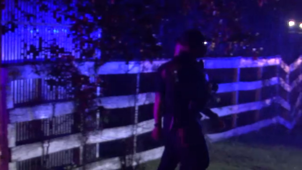 Hundreds of roosters found during investigation into alleged rooster fighting ring, HCSO says